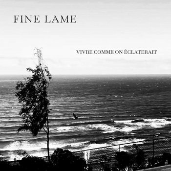 Fine Lame — Vivre comme on éclaterait